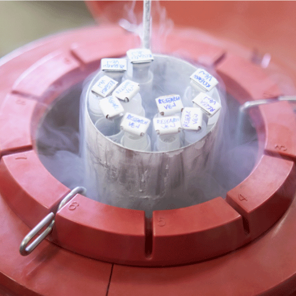 耐低溫-196℃醫療專用貼紙